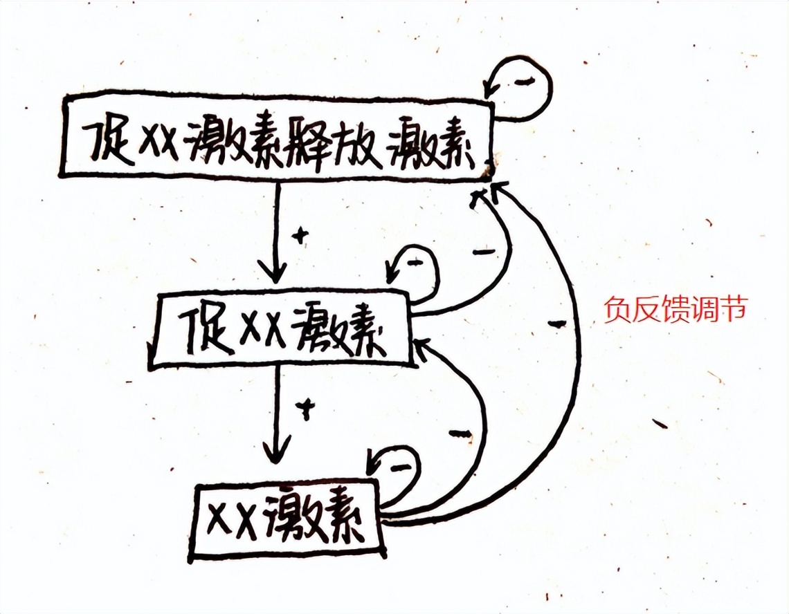 卵巢早衰和内分泌失调怎么分辨,卵巢功能早衰与内分泌失调的区别