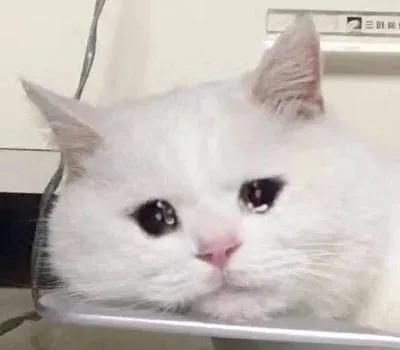 网贷被骗刷流水涉案的案例,网贷被骗刷流水没有获利被传唤