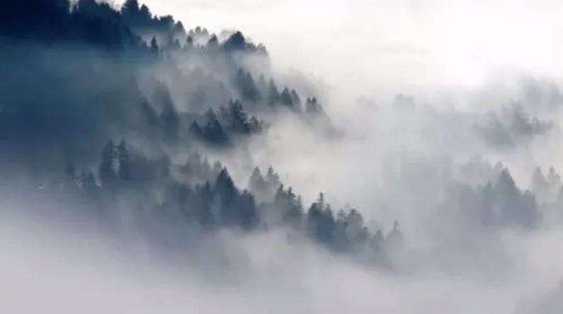 舜做出了什么成就,舜的大孝之道