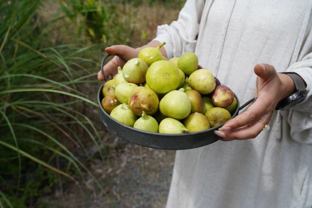 心动！那些藏在崇明民宿里的初秋小美好