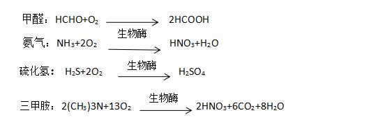 生物酶和活性炭哪个除甲醛效果好,除甲醛光触媒和生物酶哪种好一些