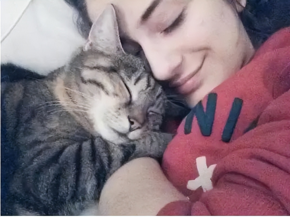 猫咪老是跑床上挨着人睡,猫咪为什么爱挨着主人的头睡