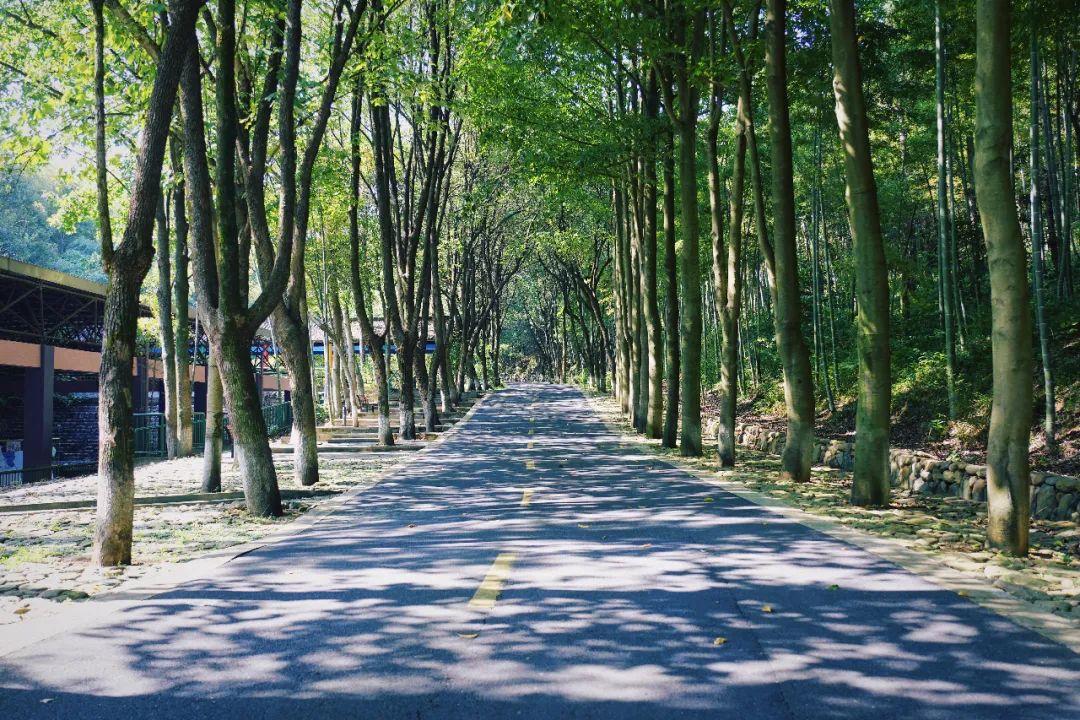 安吉亲子旅游必去的景点,安吉最新亲子旅游度假