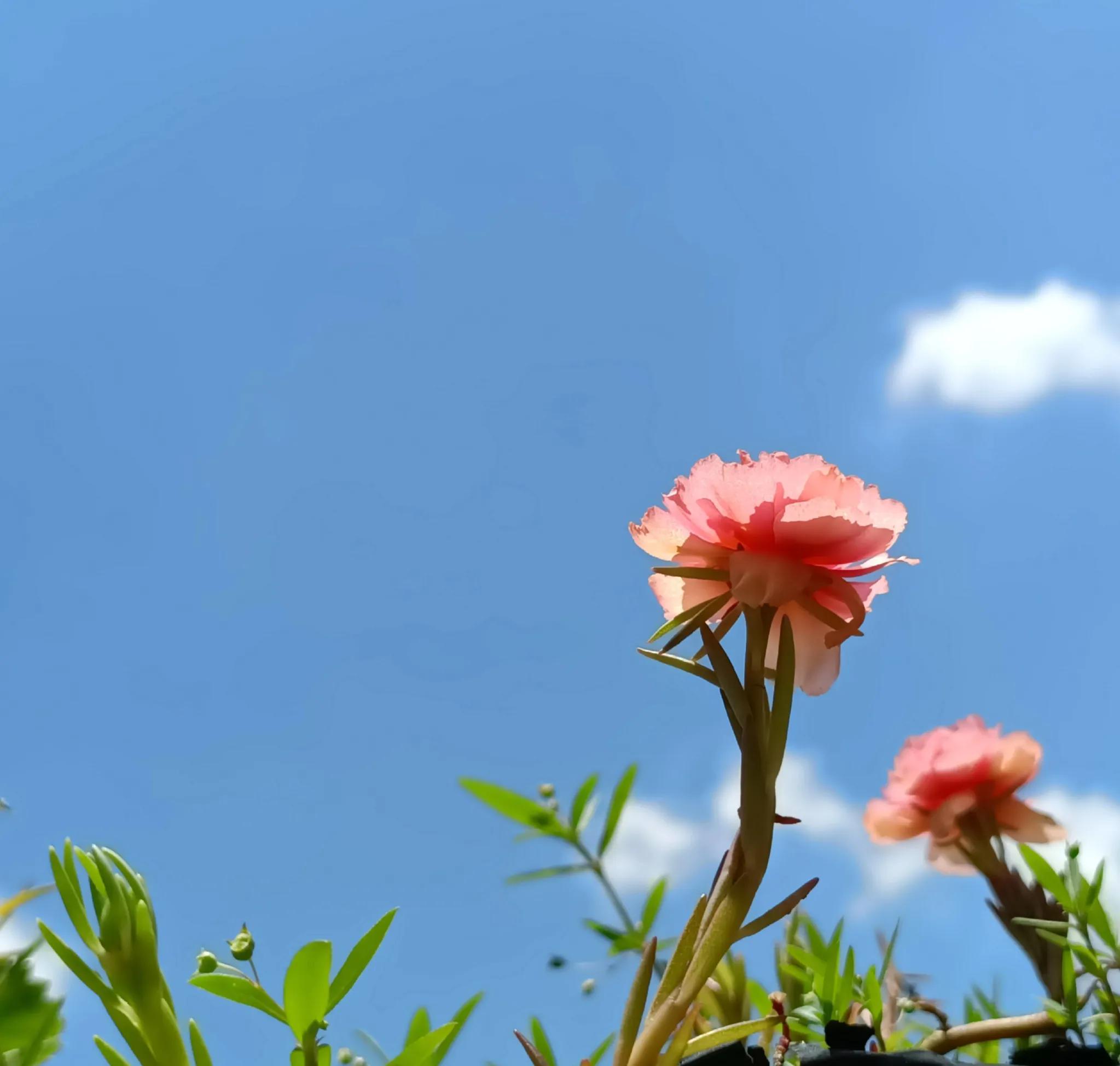 网购让我们变得焦虑,网购时代的体验