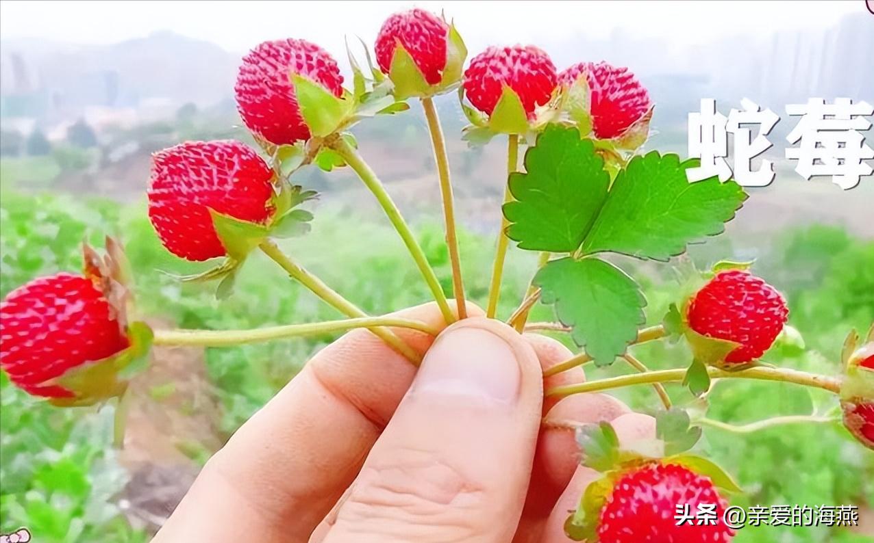 8090怀旧经典零食你都吃过哪些,中国最怀旧的58种经典零食