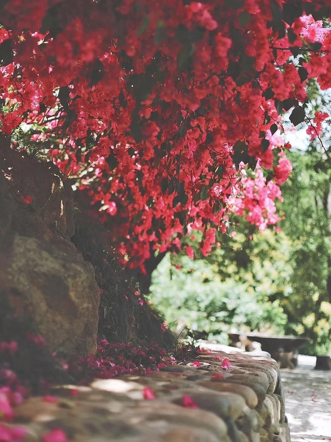 这10首诗词胜过你今年读过的鸡汤,五千年来最有哲理12句诗词太经典