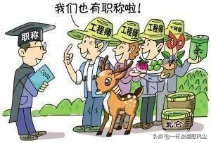 职称评审量化评分表,职称评审评分对照表