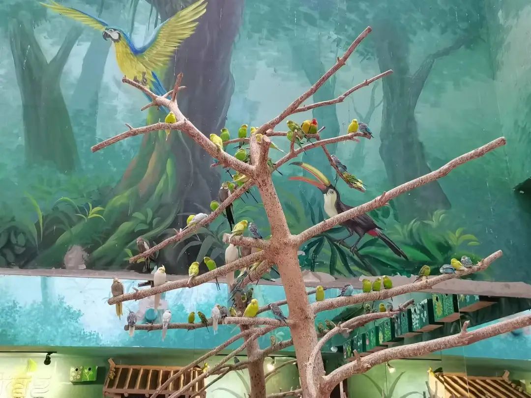 国庆假期秋游鞍山丨鞍山这些亲子游打卡点！家长们赶紧收好备用