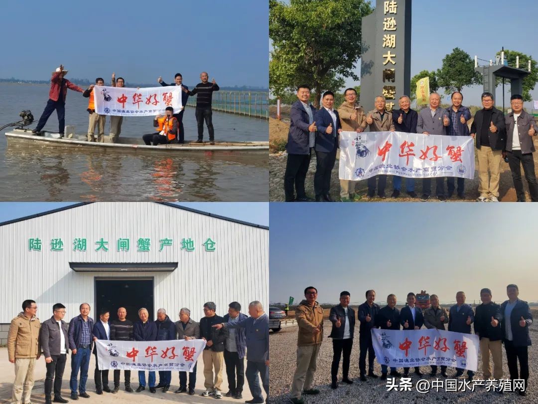 阳澄湖大闸蟹路线图,去阳澄湖大闸蟹攻略路线