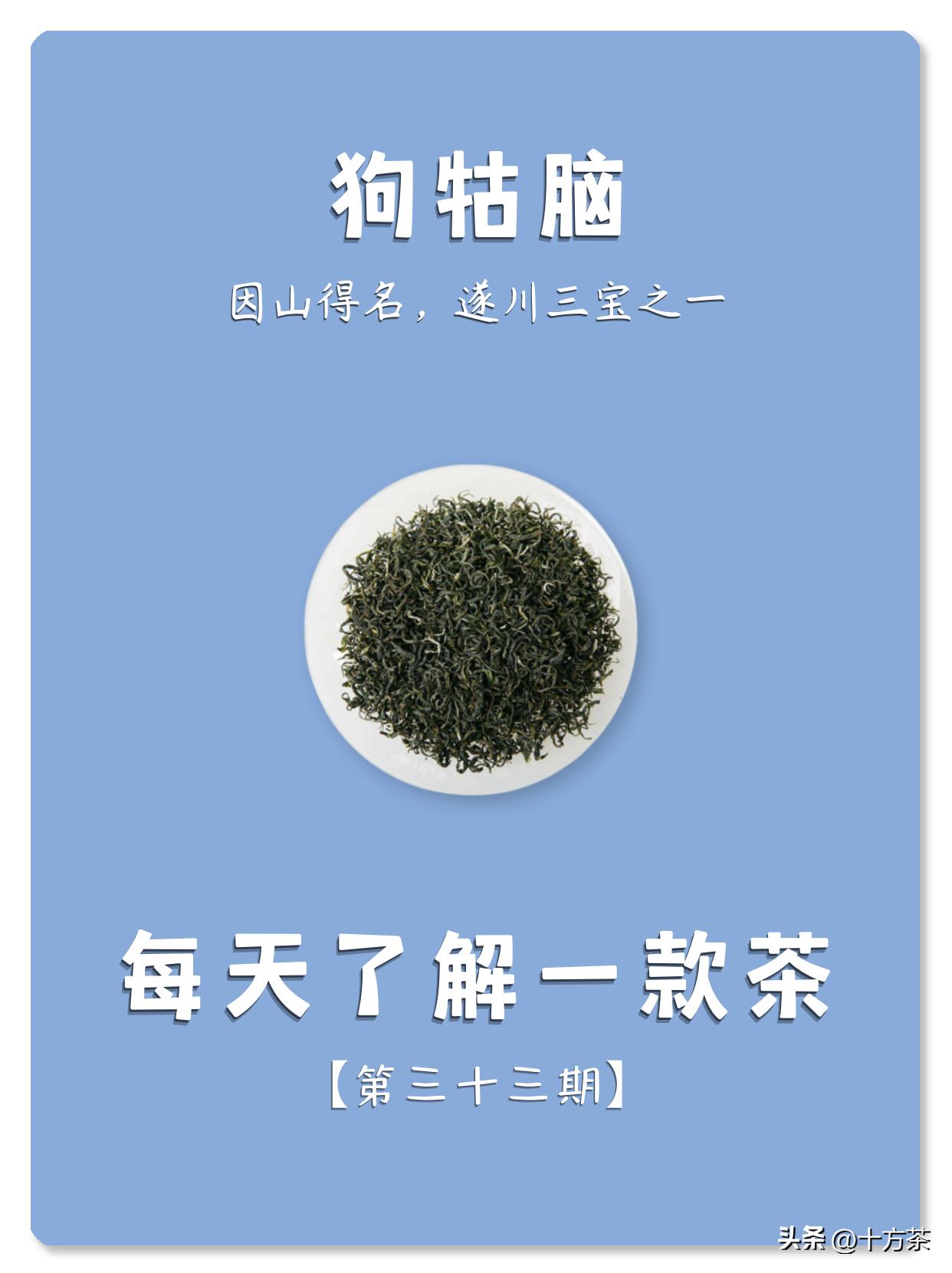 狗牯脑茶茶文化系列,狗牯脑茶什么时候的最好喝