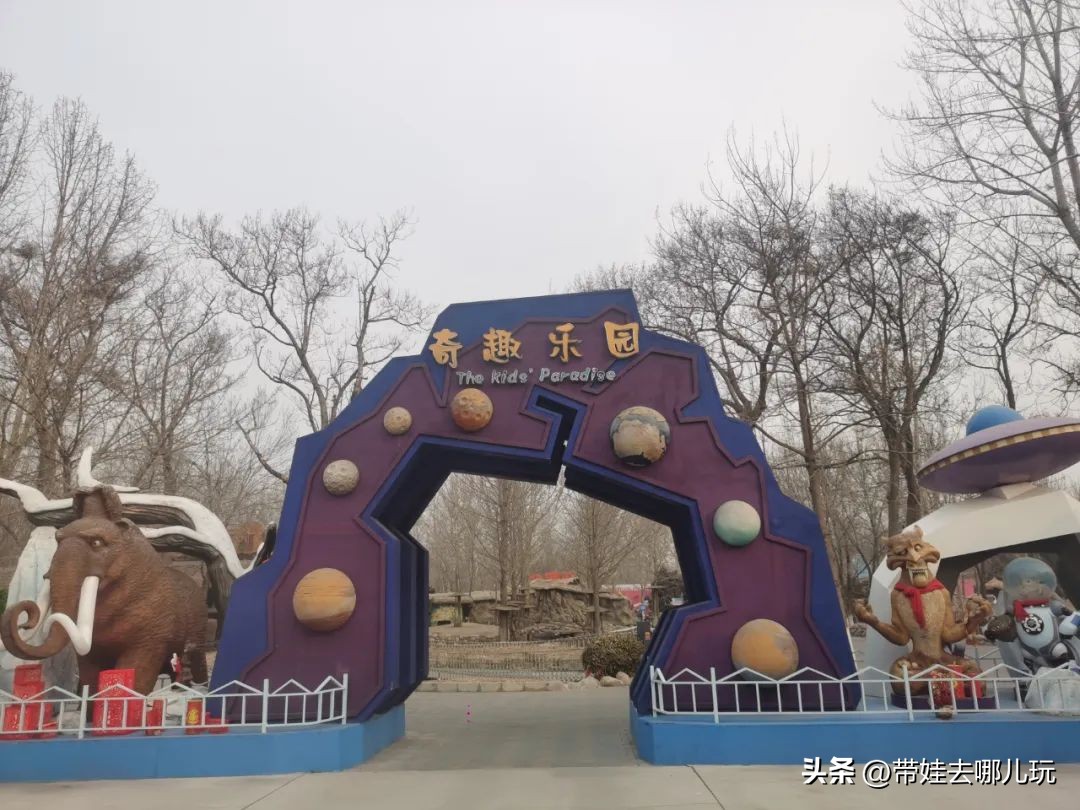 一天玩遍北京野生动物园,包场去鸟巢