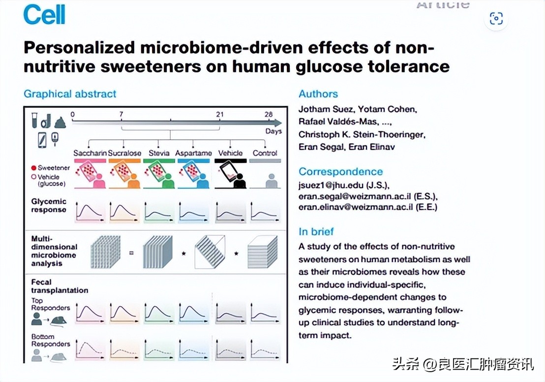 代糖真的致癌吗,代糖真的不会让人长胖吗