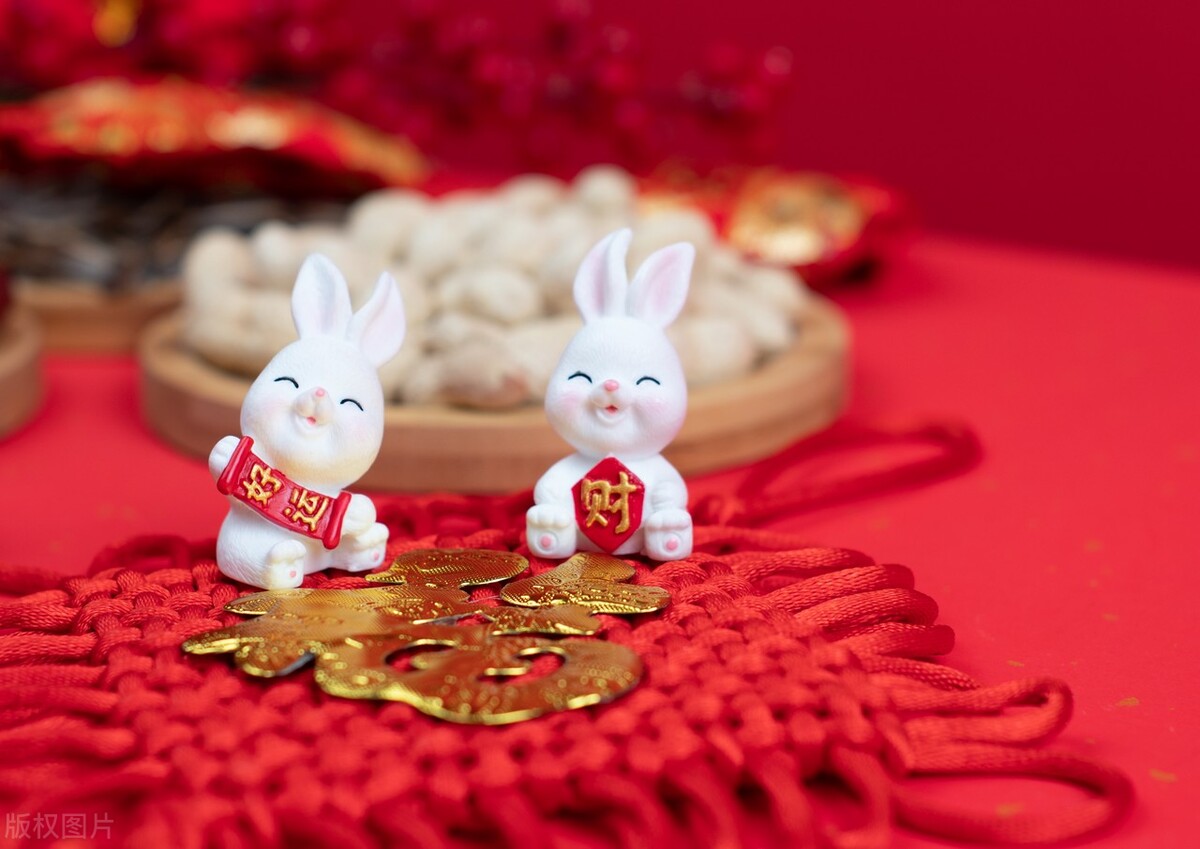 2023年是黑兔年还是木兔年,2023年被称为黑兔年为什么