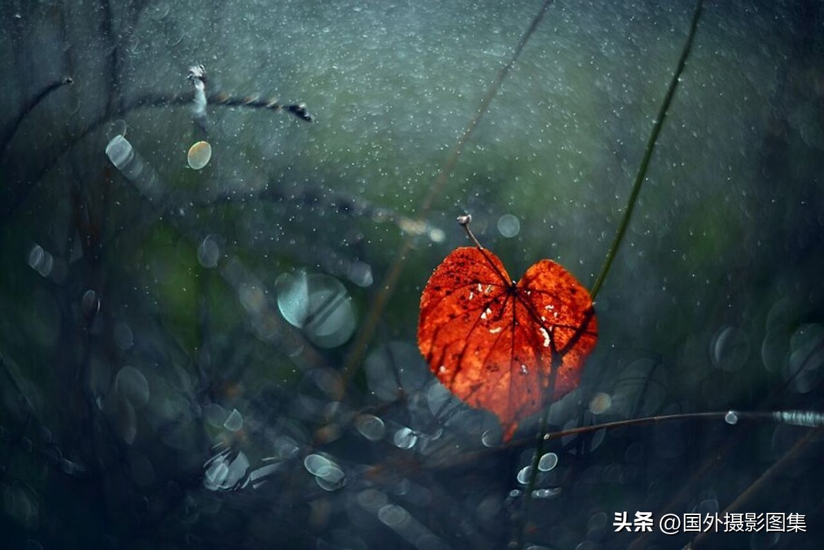 秋天最美大自然图片,春天最美的三十六张照片