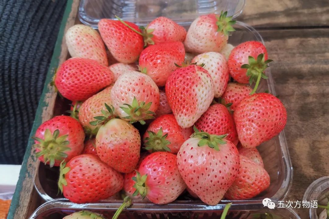 法国的弗州草莓和智利草莓从哪来,凤梨草莓跟普通草莓