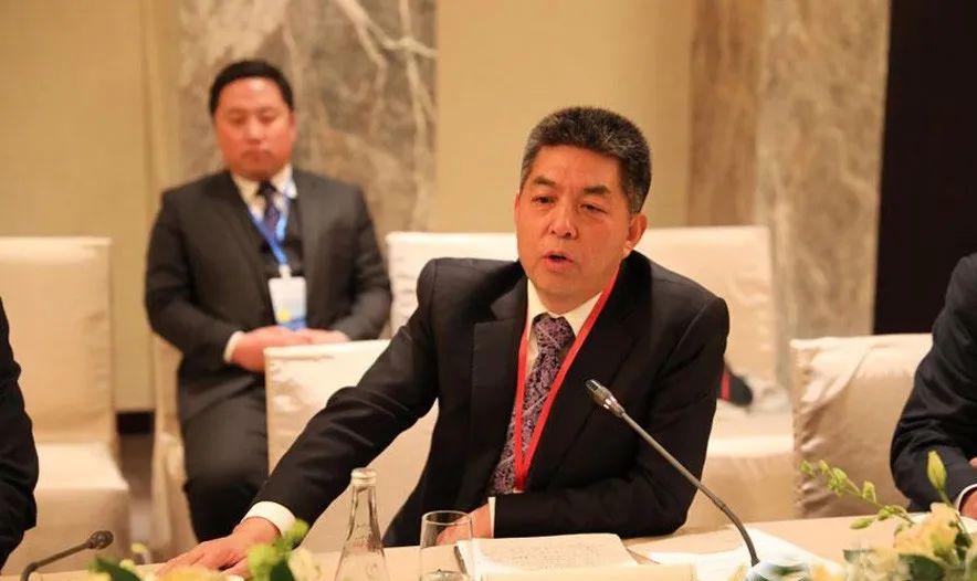 山东岚桥集团负债率,山东岚桥集团债务违约