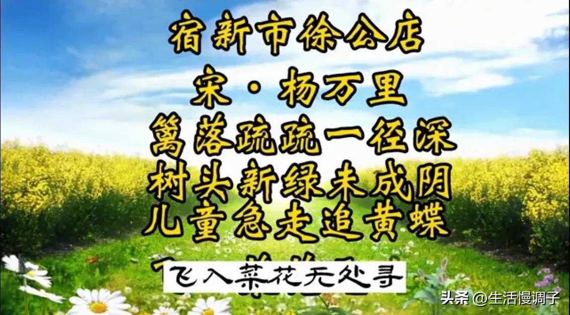 有关小学语文教材古诗词选择,部编版小学语文古诗词统计