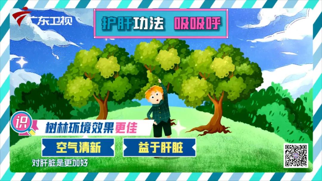 适合寒虚女人喝的养肝护肝茶,中医养生护肝茶