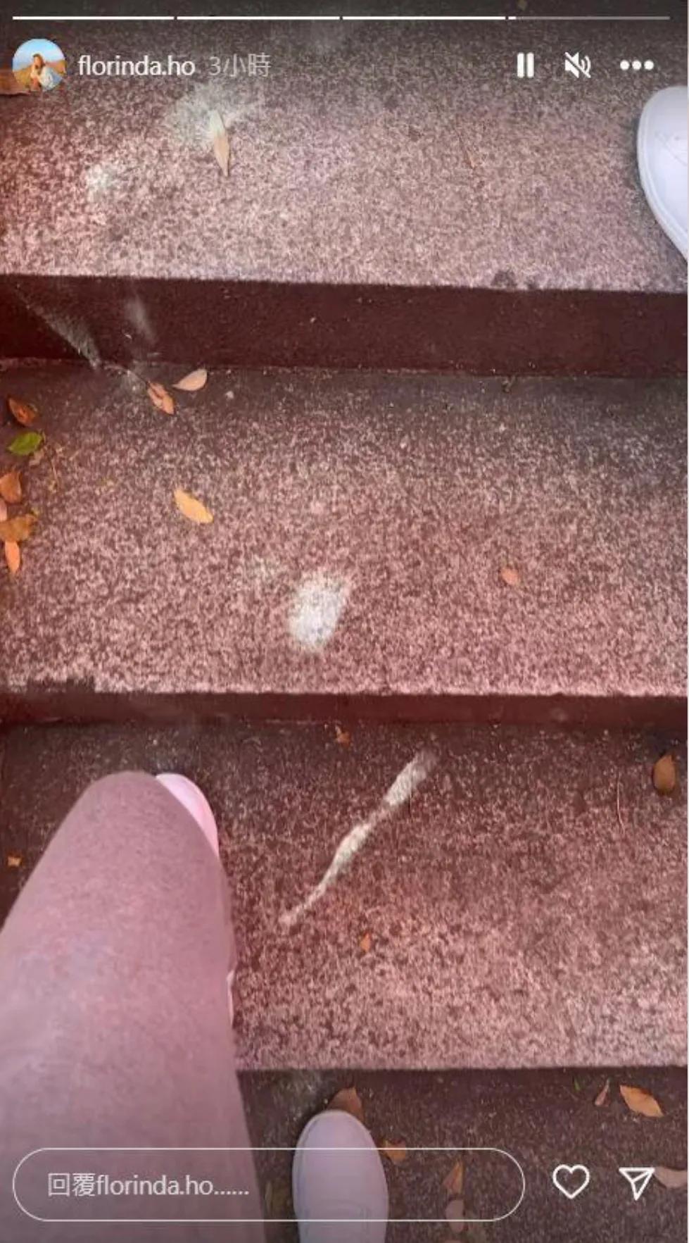 男子携妻旅游性侵他人被捕,男子携妻旅游性侵被捕