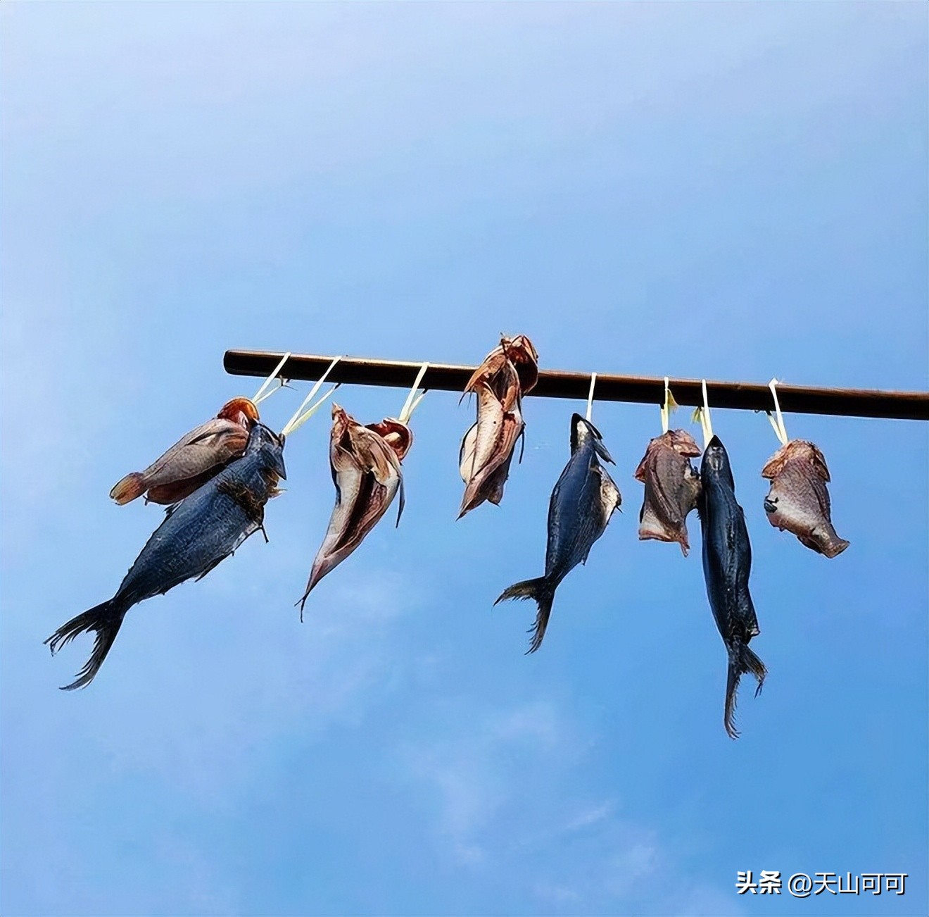 咸鱼怎么做才好吃呢,咸鱼怎么做好吃简单方法