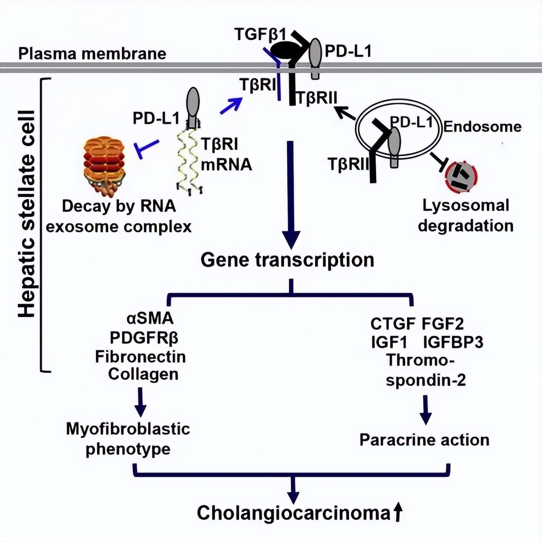仅一年，中国406.4万人患癌！西安交大连出癌症防治硬核成果，引发国际关注！