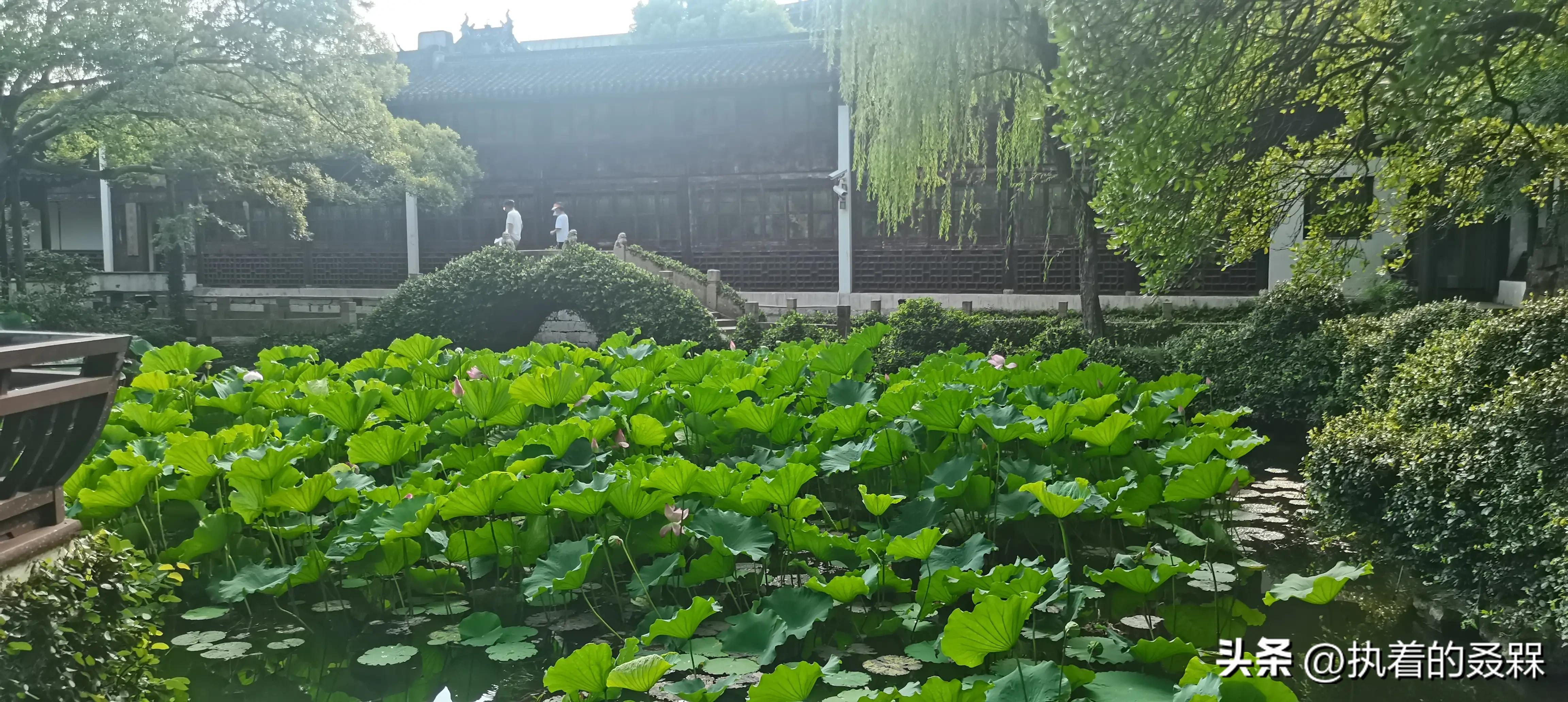 上海市五大古典园林之一曲水园,上海五大古典园林