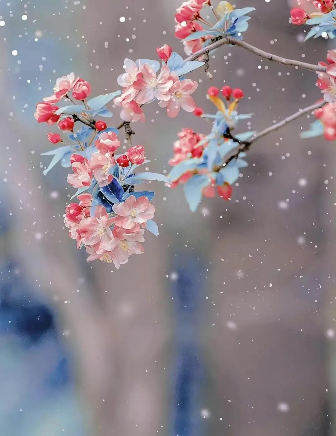 年年岁岁春去秋来,年年岁岁盼新春