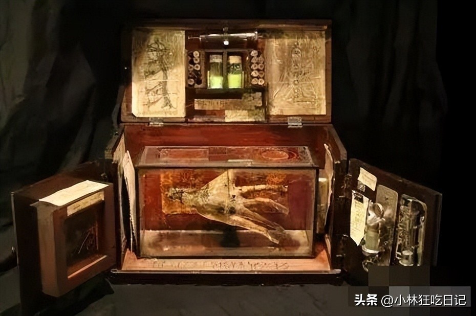 英国神秘生物博物馆,英国神秘生物