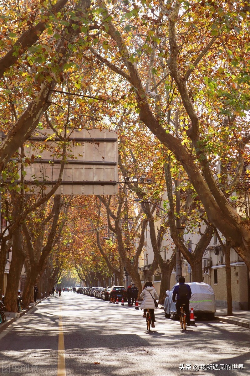 涓婃捣绻佽姳鎵撳崱鏅偣,涓婃捣鎵撳崱鏅偣