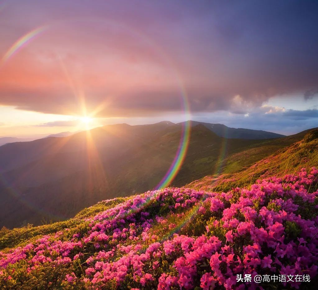 高考漫画作文开头要怎么写,2016高考漫画作文题怎么立意