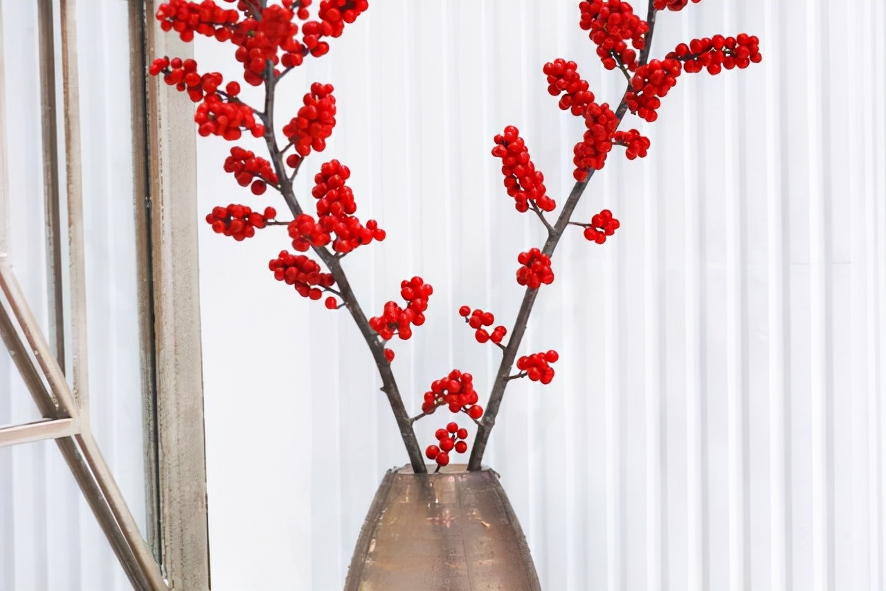 最名贵的十种花卉名称及图片大全,既好养又值钱的花卉