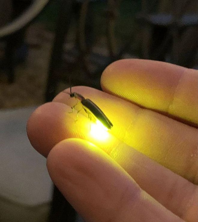 39张罕见的图片让人打开新世界,这32张罕见的图片你见过几张