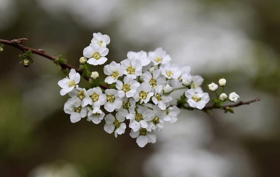 股票交易软件怎样下单,股票期权如何交易的流程