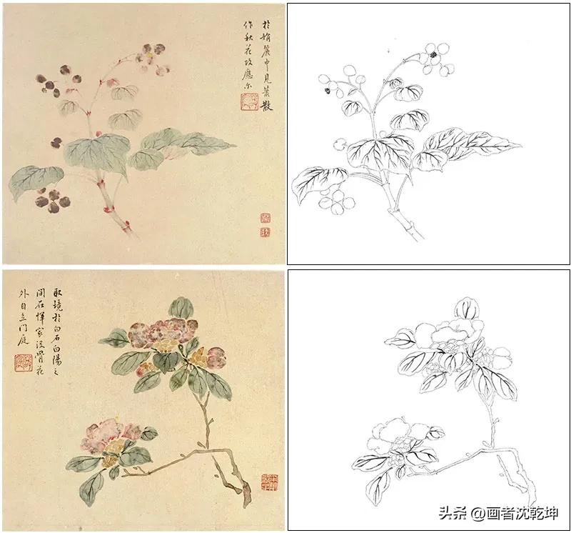 花鸟工笔白描100张简单,重彩工笔花鸟白描