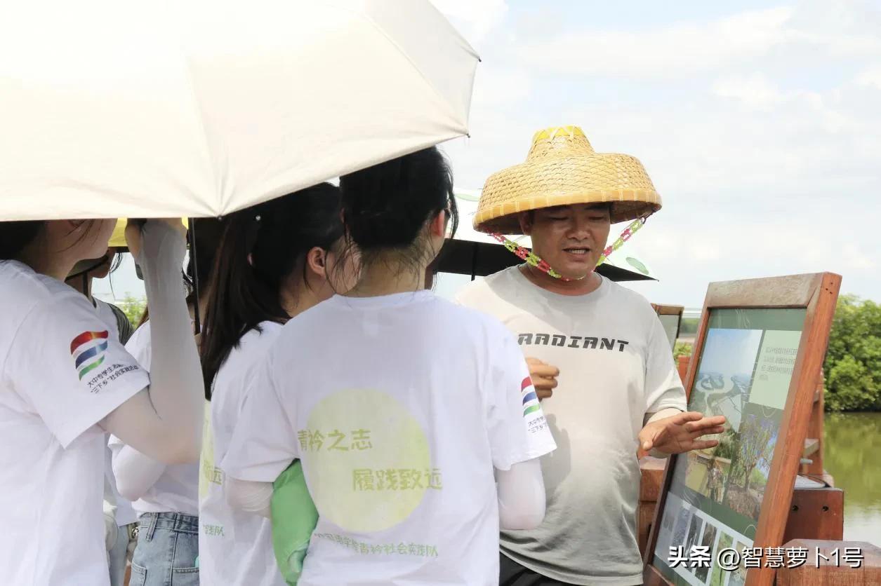 振兴美丽乡村体验别样风情,参观乡村振兴示范村建设成效