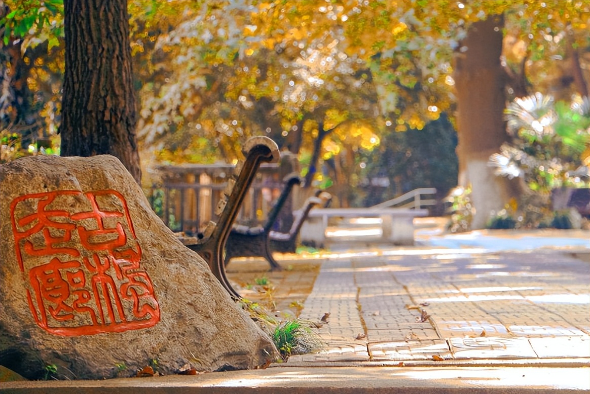 浙江农林大学怎么样就业前景,2021浙江农林大学就业咋样