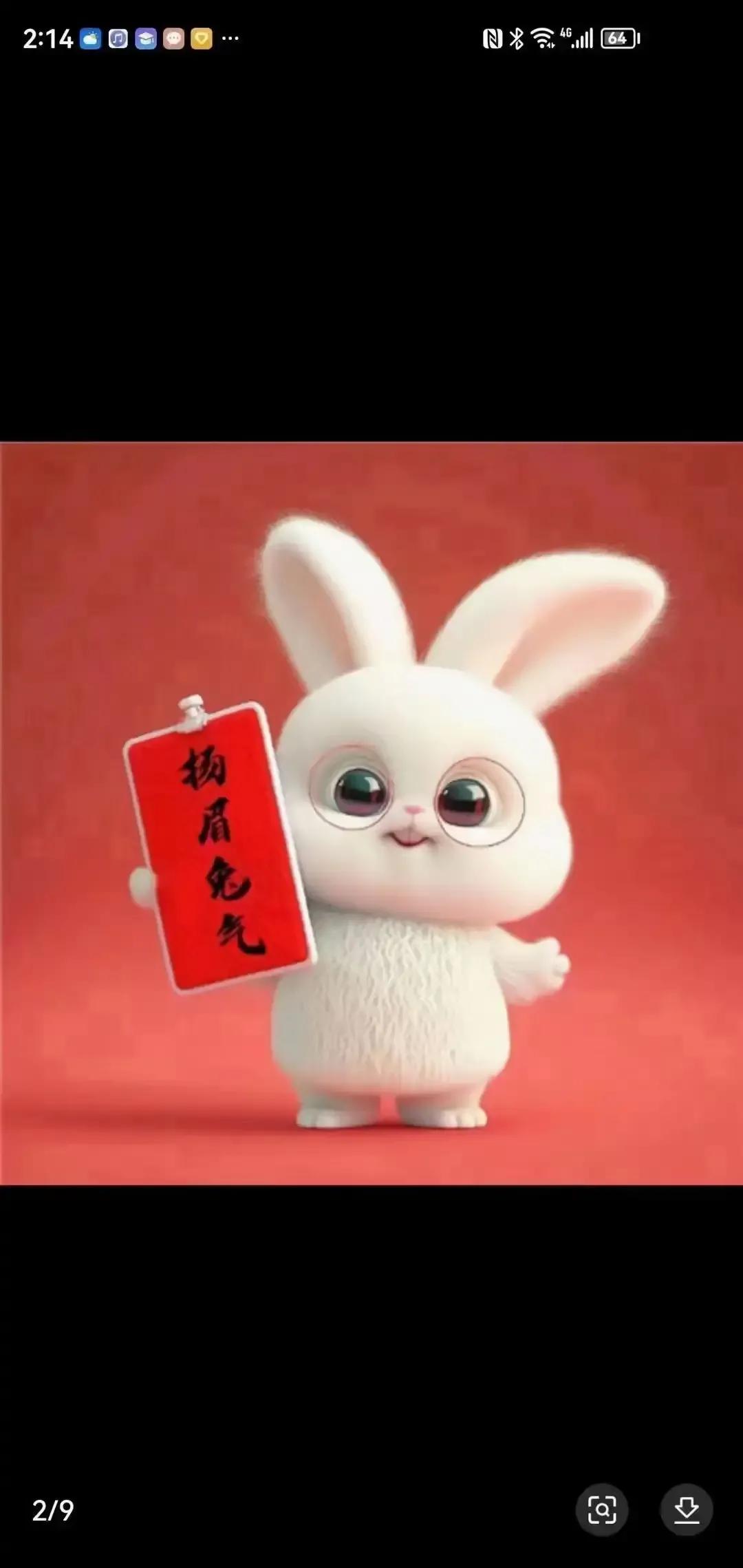 玉兔纳福迎新年大年初一拜大年2023年01月22日星期日正月初一