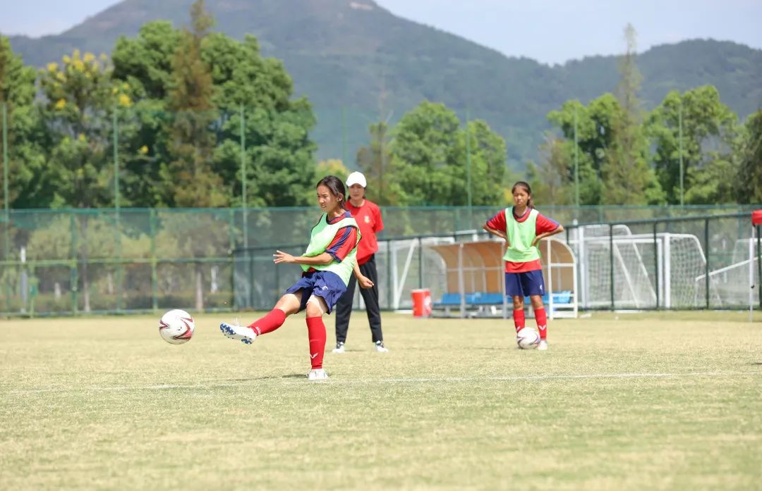 太湖边的足球小玫瑰们正在美丽绽放