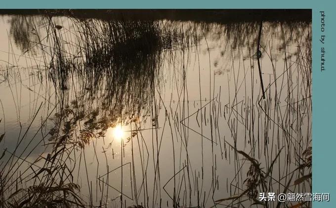 蕴含人生哲理的古诗100首,15首古诗词说尽人生真谛