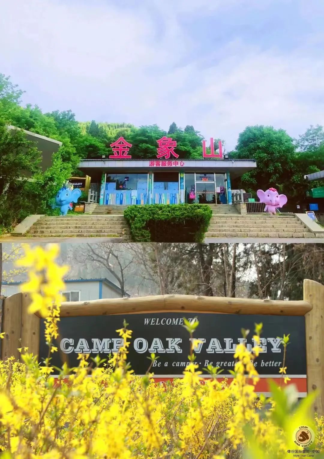 519旅游日免门票广西,2024年519中国旅游日景区优惠