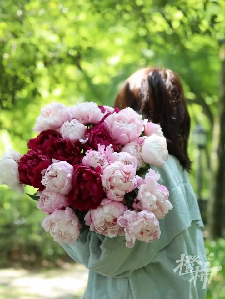 杭州姑娘在菏泽连住5天，只为抢到……