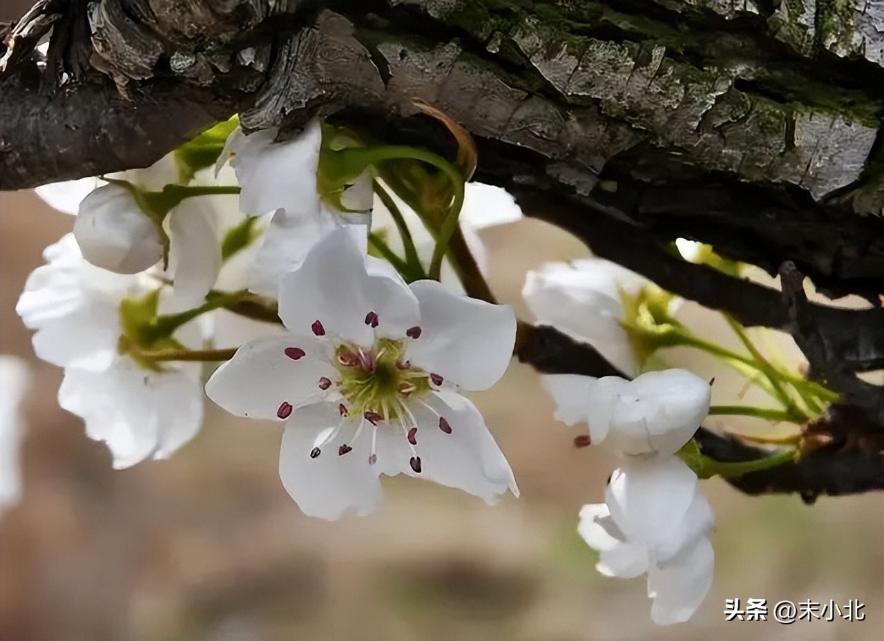 一个人越活越年轻原因,欲壑难填是一切烦恼与痛苦的根源