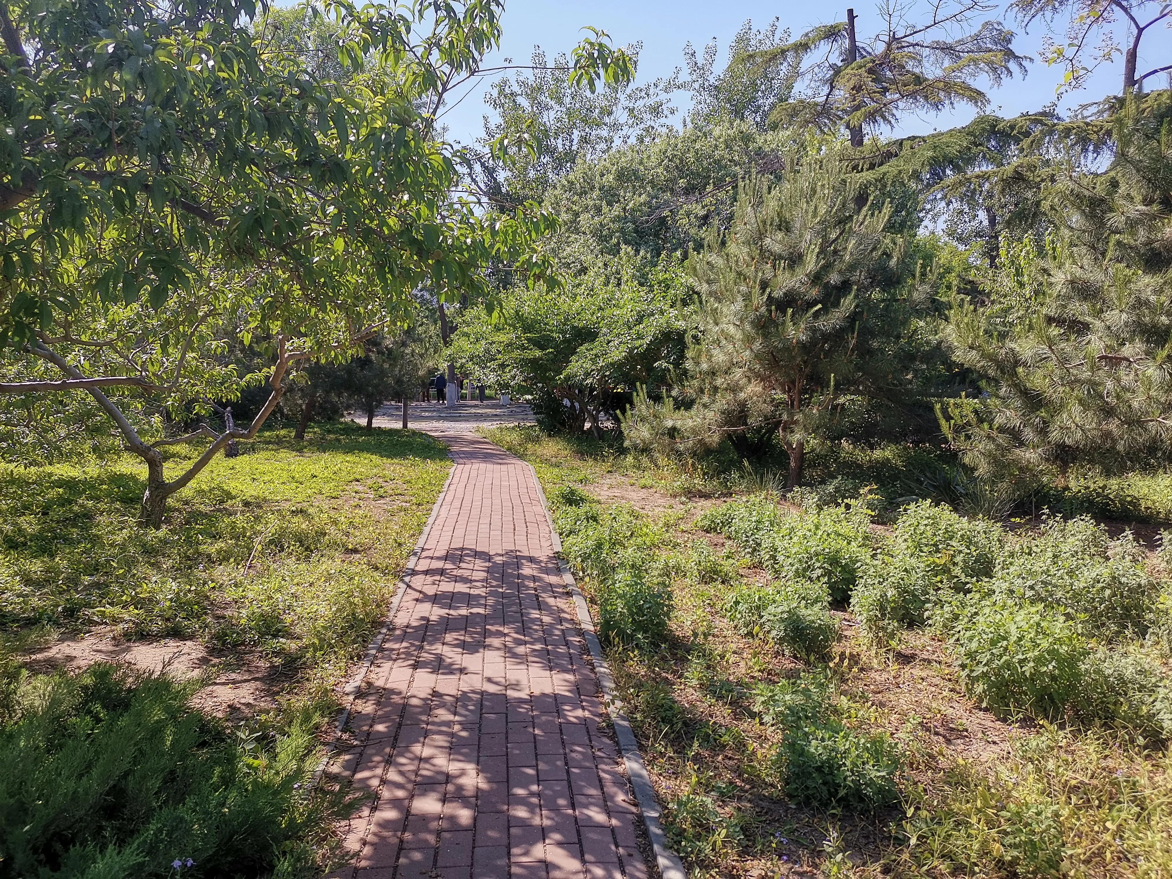 王串场公园有什么,王串场公园地图