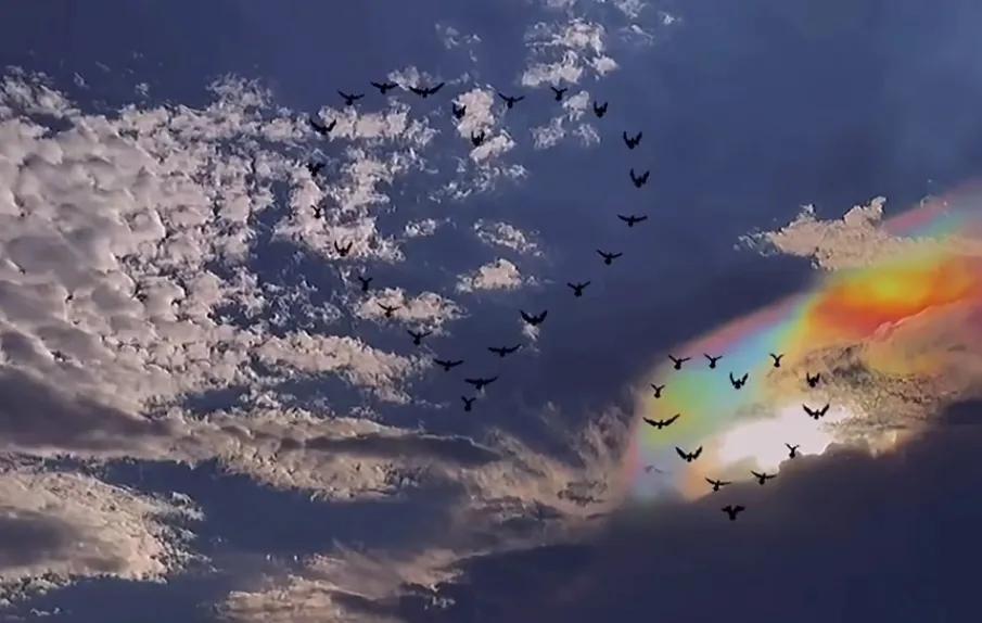 每天除了玩手机不知道干什么,一个人除了玩手机还能干啥