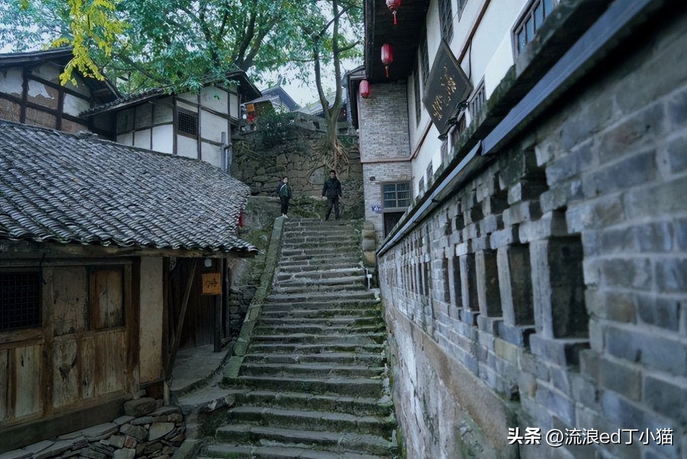 舌尖上的中国泸州古蔺椒麻鸡,古蔺麻辣鸡是哪里的特色小吃