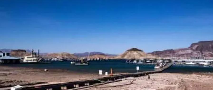 村民喝水异味发现水池有死猴尸体,楼顶蓄水池藏尸案