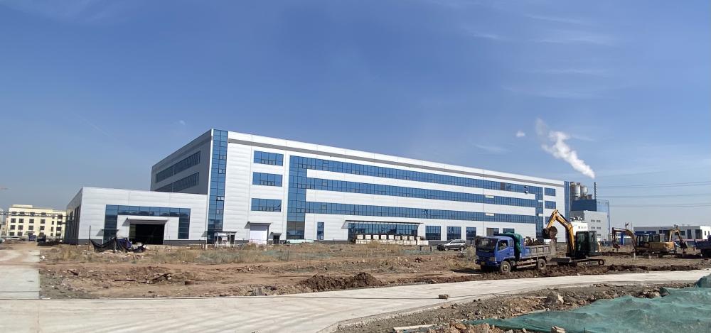 娴峰ぇ鐢熺墿鍏锋湁鐨勬牳蹇冪珵浜夊姏,娴峰ぇ鐢熺墿寮哄熀