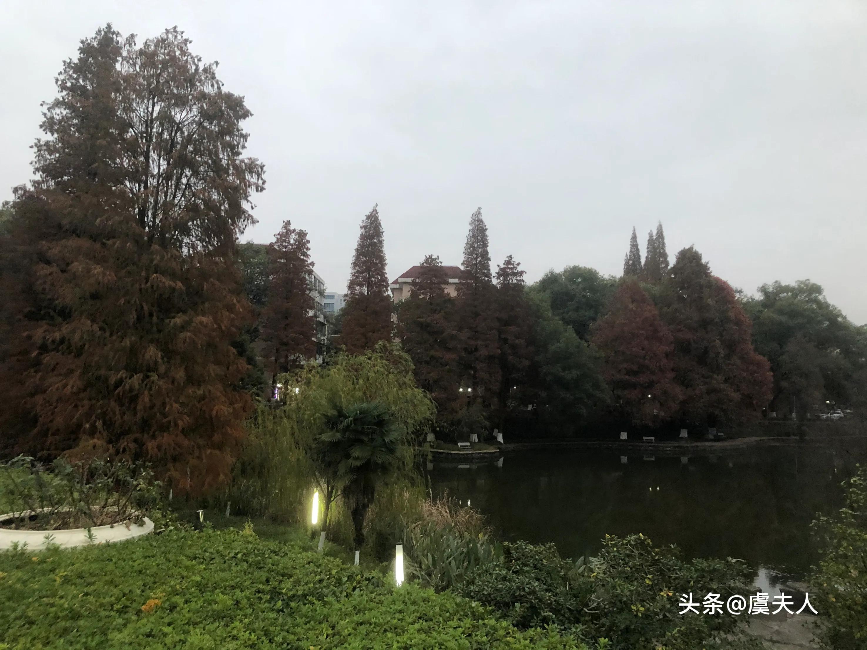 草木荣枯自有时万物从容皆可得,草木荣枯自有时出自哪里