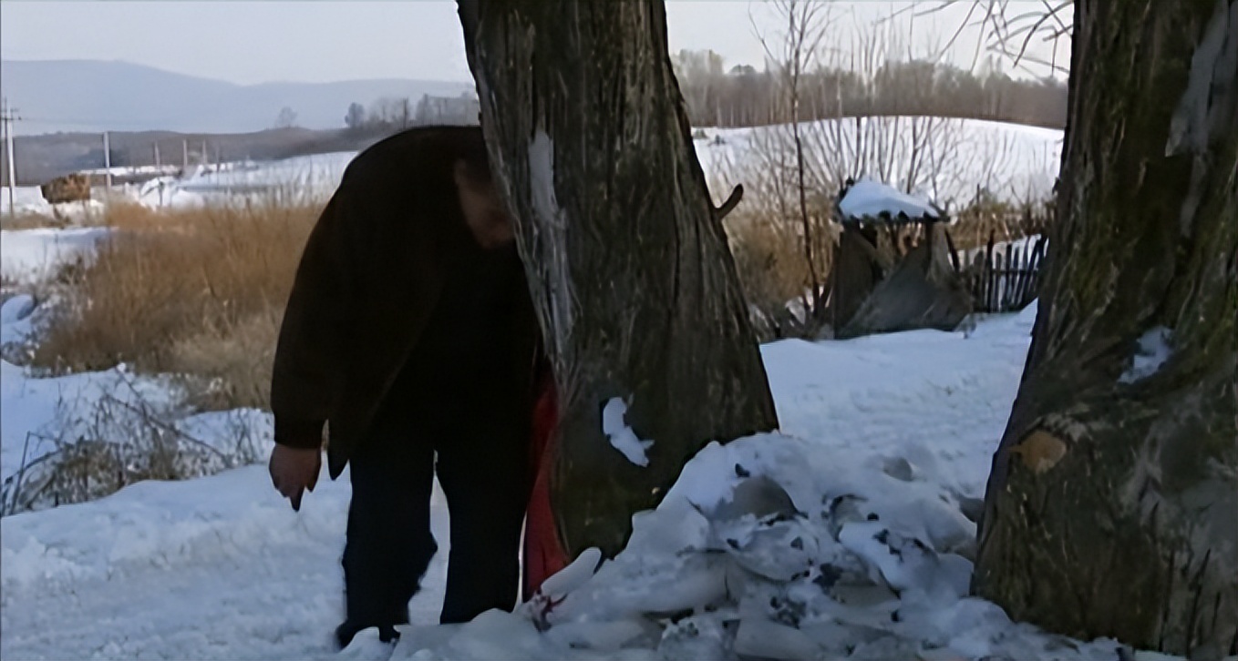 吉林男子救助傻狍子,吉林男子救助动物