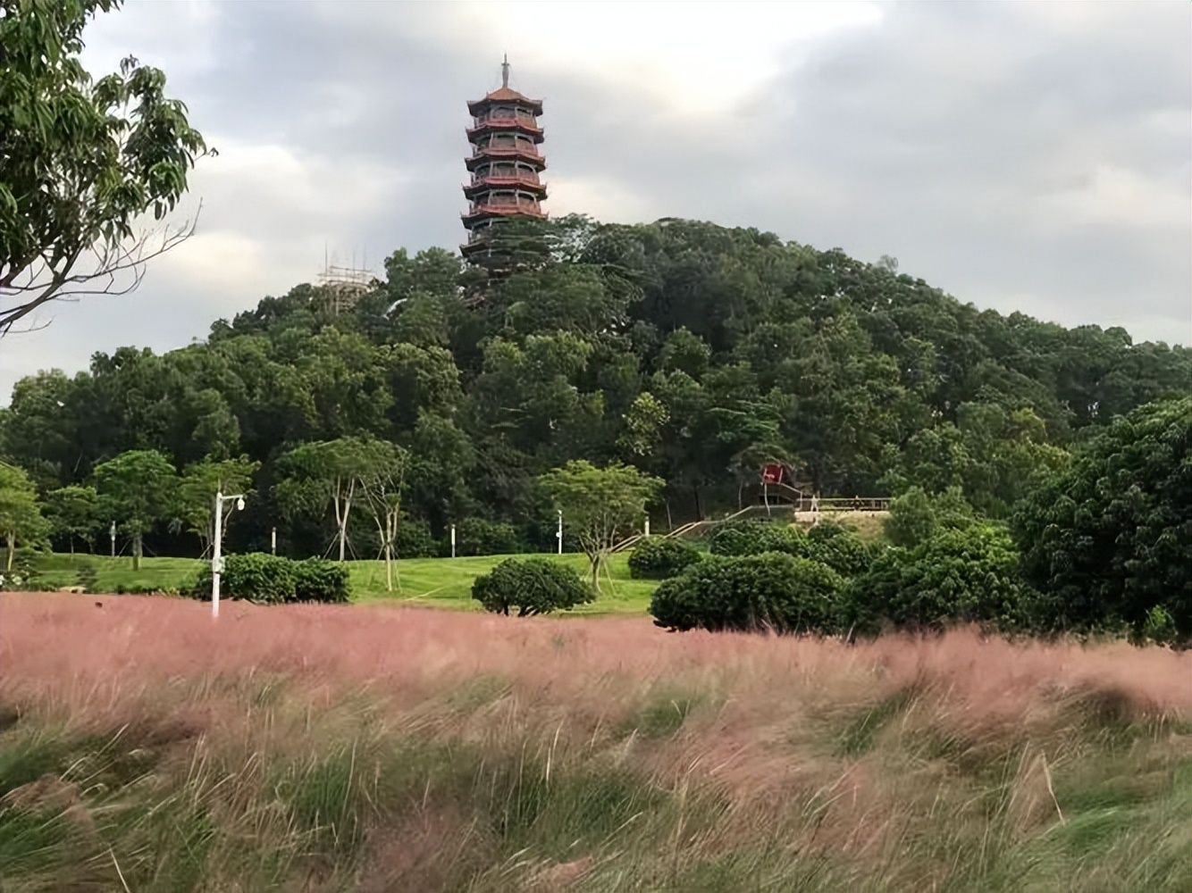 珠海大型公园有哪些,珠海最美十大公园在哪里